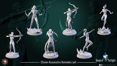 Drow Female Warrior Bundle